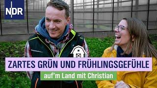 Winterblues adé: Im Gewächshaus beginnt die Salat-Saison | Folge 3 | NDR auf'm Land