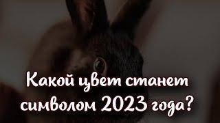 Какой цвет станет символом 2023 года и как использовать его с максимальной выгодой для себя