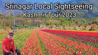 Srinagar Local Sightseeing | Tulip Garden | Dal Lake | Shankaracharya Temple | Shalimar Garden