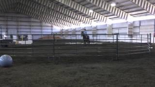 A Horse Training Career with Reach Out to Horses