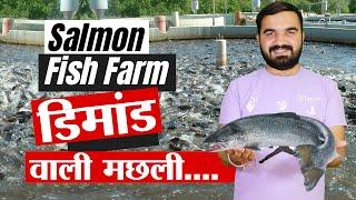 Salmon fish farming in india | सलमान मछली पालन | west fish farming | Rawai fish farm #fishing