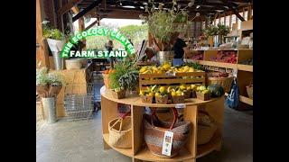 The Ecology Center Farm Stand in San Juan Capistrano, CA