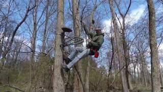 Benefits of Arborist climbing for tree stand hunters