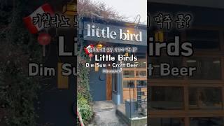 캐나다 밴쿠버 맛집  미슐랭가이드 딤섬+맥주 | 키칠라노 맛집! | Little Bird Dim Sum + Craft Beer