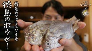 【徳島県民に愛される魚】最高のツマミになる魚「ボウゼ」をフレンチの定番レシピ、バロティーヌに【白鶴 × Georgeのおうちビストロ】