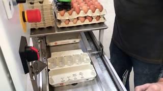 Semi automatic egg packing machine with egg lifter