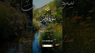 surate younus #daily #shortsvideo #clips #duet #translation #of #quran #sakoonqaalb #quotes