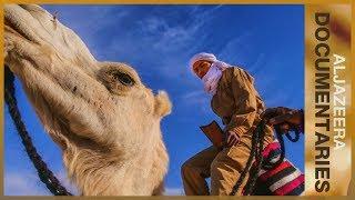 Camels in the Outback | Al Jazeera World