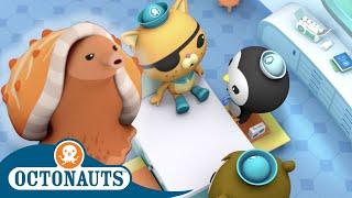 Octonauts - The Cone Snail | Cartoons for Kids | Underwater Sea Education