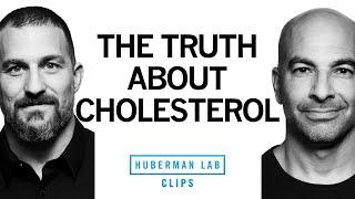 The Truth About Dietary Cholesterol | Dr. Peter Attia & Dr. Andrew Huberman