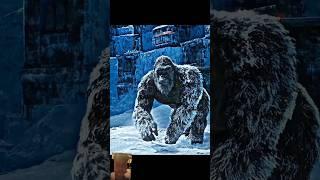 Godzilla vs king kong  #movie #film #edit #kingkong #godzilla #music #art #kong #travel #marvel