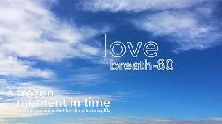 A Frozen Moment in Time - Arturia SQ80V - Presets demo (Plughugger)