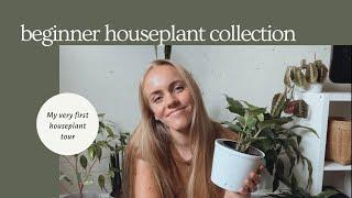 Realistic Beginner Houseplant Collection Tour - Small Apartment w/ Kids