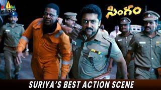 Suriya's Best Action Scene | Singam | Anushka, Hansika | Hari | Telugu Movie Actions Scenes