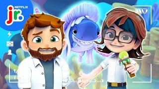 Sharkdog's Fin-tastic Aquarium Report!  Sharkdog | Netflix Jr