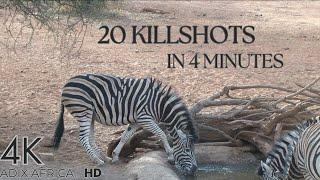 ‼️20 Bow Hunting kill shots compilation pt3‼️