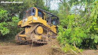 awesome!! The CAT D6R XL Dozer Clearing Weeds and Leveling The Ground Perfectly