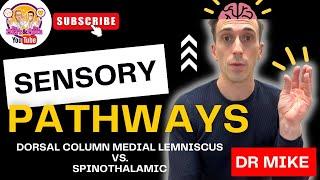 Sensory Pathways | Touch vs. Pain and Temperature