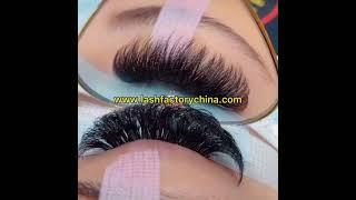 Lash vendor wholesale classic volume lash extensions with private label #shorts #lashvendor