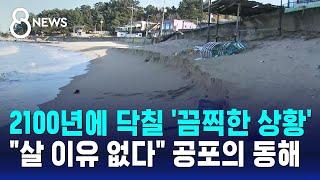 2100년에 닥칠 '끔찍한 상황'…"살 이유 없다" 공포의 동해 / SBS 8뉴스