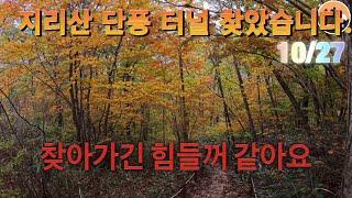 지리산 깊은산속 힘들어도 눈호강하고 왔어요/성삼재에서 반야봉찍고삼도봉 턴 피아골삼거리~대피소 여기까지만 좋아요 직전마을은 쫌만 더 있다 오세요 21km