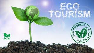 Eco Tourism Adventures  Sustainable Travel Experiences