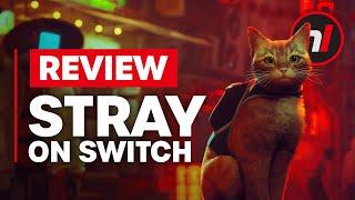 Stray Nintendo Switch Review - Is It Worth It?