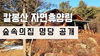 [브이로그] 칼봉산 자연휴양림 시설 둘러보기 | 숲속의집 명당 공개 | 2박 3일 여행 | 12월 겨울 가족여행