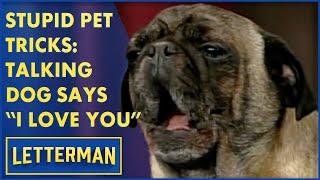 Stupid Pet Tricks: The Talking Dog Says "I Love You" | Letterman