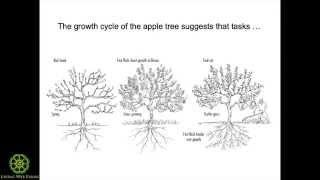 Successful Biological Orcharding Part 7 Growth Cycles