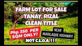 (Property#13) FARM LOT IN TANAY, RIZAL I OVERLOOKING -BEST PRICE!!!