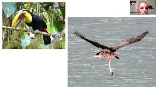 20 1116 VAAS Program - Barry Rossheim - Bird Anatomy and Physiology