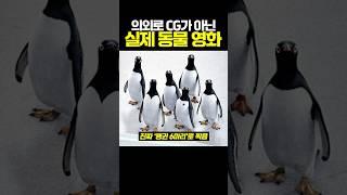 의외로 CG가 아닌 실제 동물로 찍은 영화