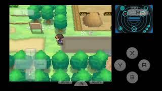 Route 05 Hidden Grotto:How to Get Rare Minccino, Liepard, and Foongus in Pokemon Black2/ White2