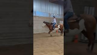 bad lesson- my posting trot is giving english rider 