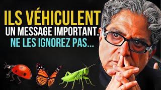 Saviez-vous que chaque insecte qui apparaît chez vous a une signification particulière?