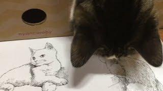 [고양이 그리는 법 10장] 창밖을 바라보는 고양이
