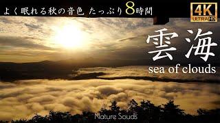 【秋の音色 8時間】日本の雲海と自然音 4K映像リラックス