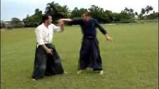 Artes Marciales: Aikido