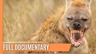 Wild Queens of the Savannah | Full Documentary