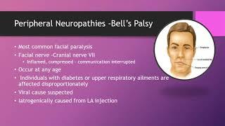 Seizures Peripheral Neuropathies, Trigeminal Neuralgia