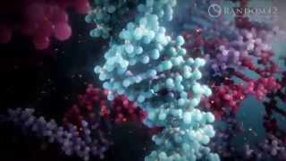 Random42 Scientific Communication Showreel 2014