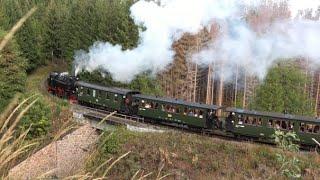 Die Harzer Schmalspurbahnen im Spätsommer 2022