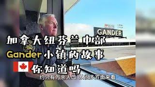 加拿大纽芬兰的Gander (甘德）小镇背后的故事你知道吗  Do you know Gander in Newfoundland and Labrador, Canada?