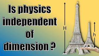 Is Physics Independent of Dimensions?