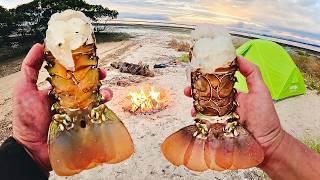 Crayfish Island Camping - Catch And Cook