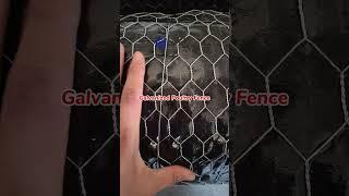 FHZZ Galvanized Chicken Wire Mesh, Reverse Twist Hexagonal Mesh, FuHua Making Poultry Fence Netting