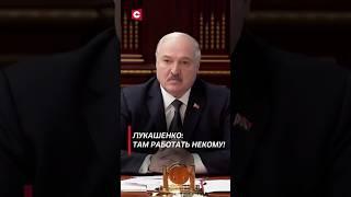 Лукашенко о миграционной политике Германии! #лукашенко #политика #германия #новости #работа