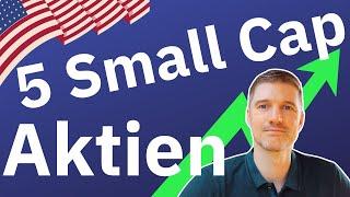 5 Small Cap Wachstumsaktien | USA