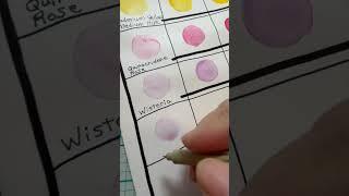 Today's Watercolor SWATCHRose of Ultramarine LIGHT VALUE By Daniel Smithshorts